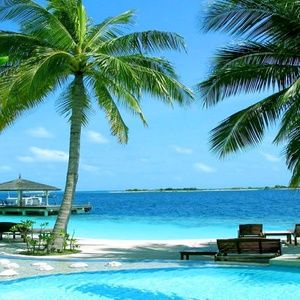 Meet your Posher, Tija